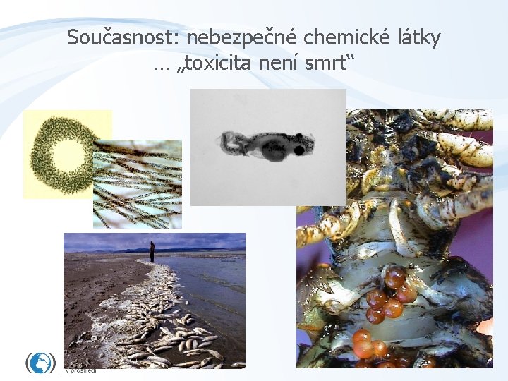 Současnost: nebezpečné chemické látky … „toxicita není smrt“ 