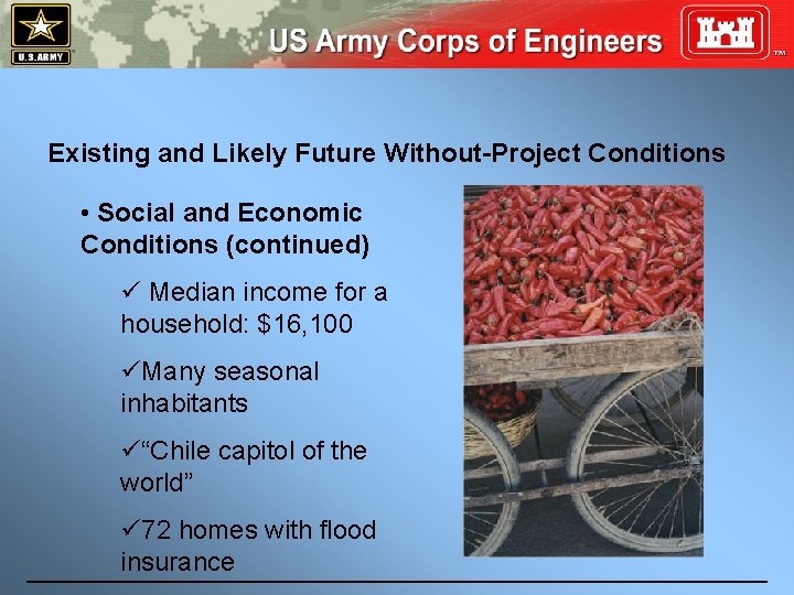 Existing and Likely Future Without-Project Conditions • Social and Economic Conditions (continued) ü Median