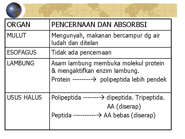 ORGAN PENCERNAAN DAN ABSORBSI MULUT Mengunyah, makanan bercampur dg air ludah dan ditelan ESOFAGUS