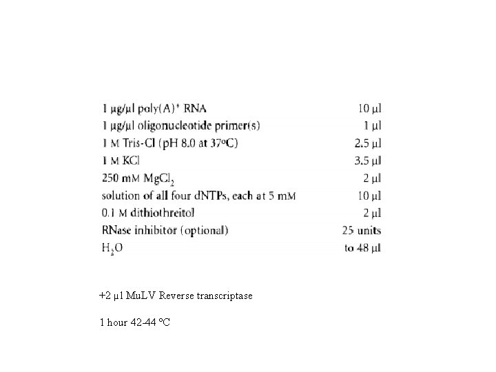 +2 µl Mu. LV Reverse transcriptase 1 hour 42 -44 ºC 