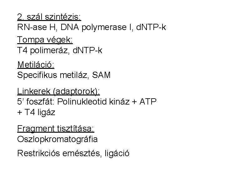 2. szál szintézis: RN-ase H, DNA polymerase I, d. NTP-k Tompa végek: T 4