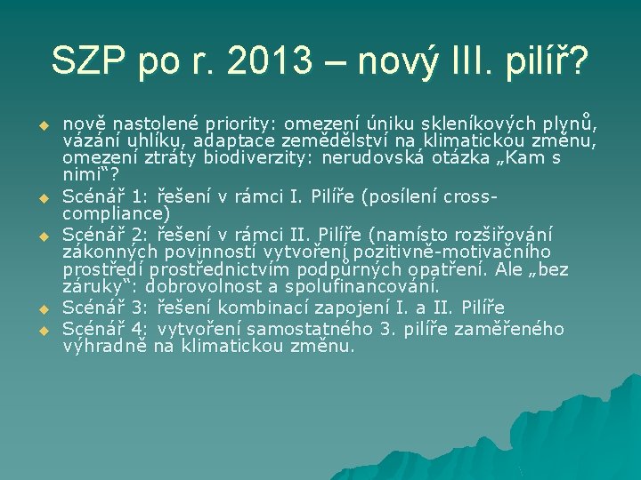 SZP po r. 2013 – nový III. pilíř? u u u nově nastolené priority: