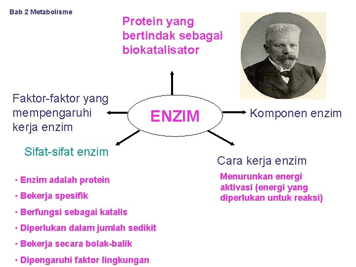 Bab 2 Metabolisme Protein yang bertindak sebagai biokatalisator Faktor-faktor yang mempengaruhi kerja enzim ENZIM