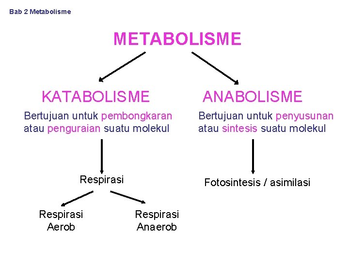 Bab 2 Metabolisme METABOLISME KATABOLISME Bertujuan untuk pembongkaran atau penguraian suatu molekul Respirasi Aerob