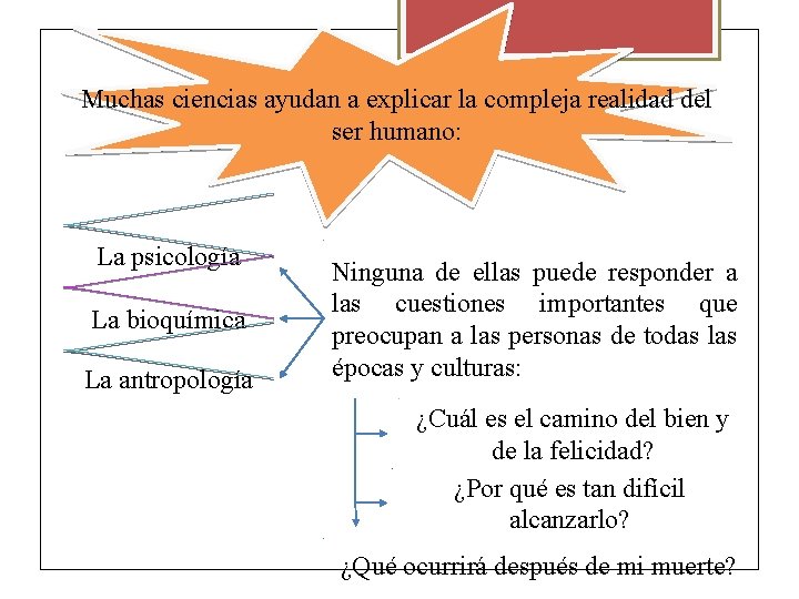 Muchas ciencias ayudan a explicar la compleja realidad del ser humano: La psicología La