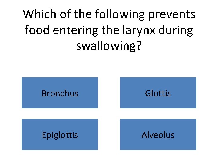 Which of the following prevents food entering the larynx during swallowing? Bronchus Glottis Epiglottis
