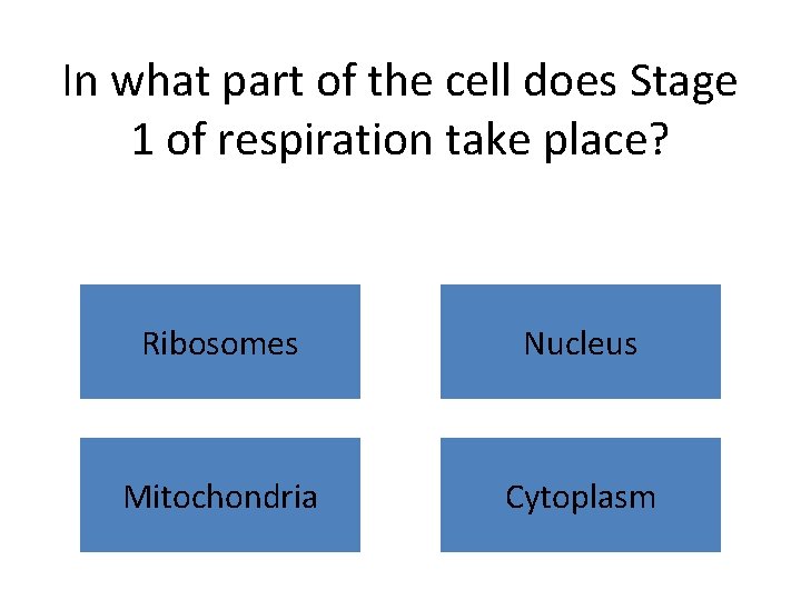 In what part of the cell does Stage 1 of respiration take place? Ribosomes