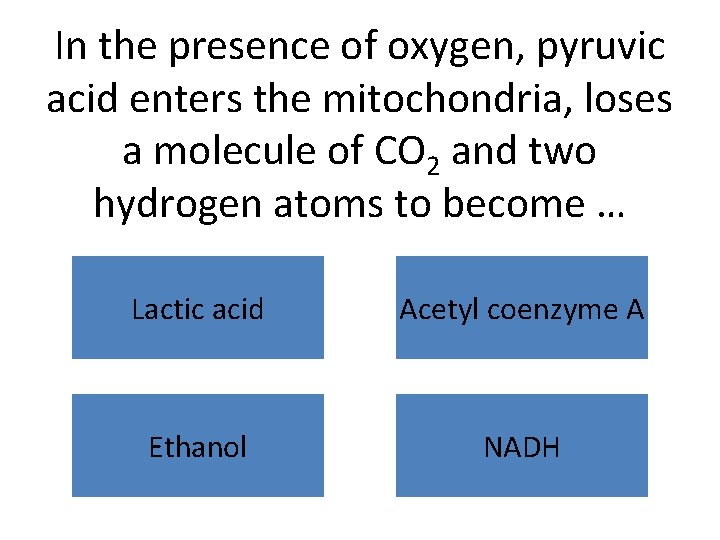 In the presence of oxygen, pyruvic acid enters the mitochondria, loses a molecule of