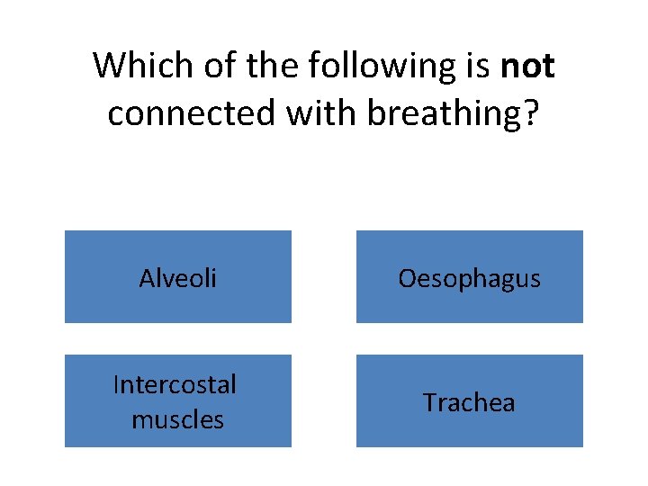 Which of the following is not connected with breathing? Alveoli Oesophagus Intercostal muscles Trachea
