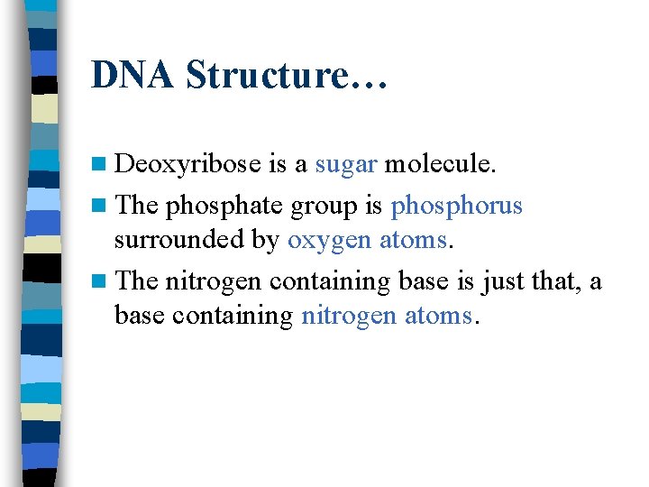 DNA Structure… n Deoxyribose is a sugar molecule. n The phosphate group is phosphorus