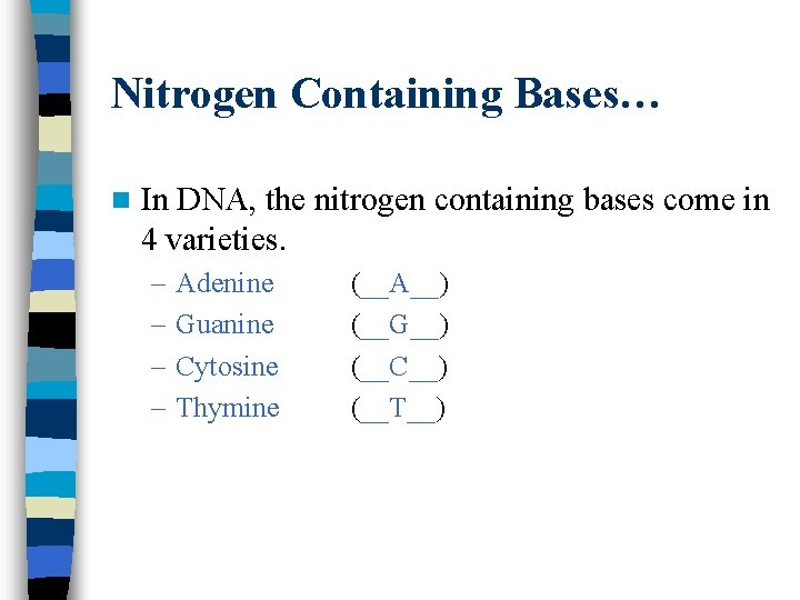 Nitrogen Containing Bases… n In DNA, the nitrogen containing bases come in 4 varieties.