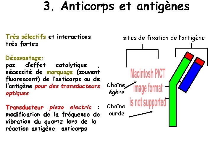 3. Anticorps et antigènes Très sélectifs et interactions très fortes Désavantage: pas d’effet catalytique