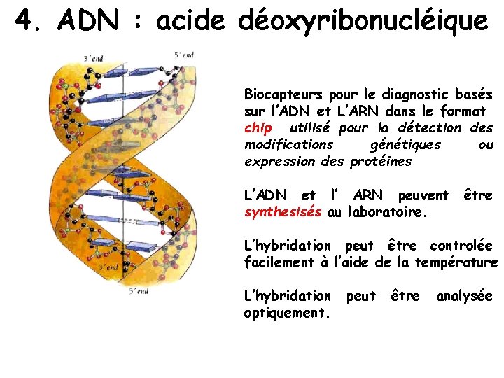 4. ADN : acide déoxyribonucléique Biocapteurs pour le diagnostic basés sur l’ADN et L’ARN