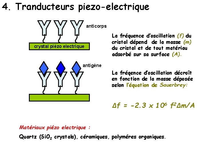 4. Tranducteurs piezo-electrique anticorps crystal piézo electrique La fréquence d’oscillation (f) du cristal dépend