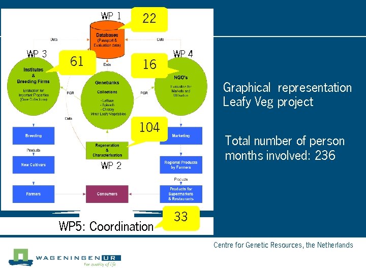 WP 1 WP 3 22 WP 4 61 16 Graphical representation Leafy Veg project