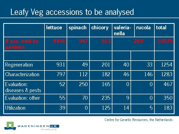 Leafy Veg accessions to be analysed lettuce # acc. held by partners spinach chicory