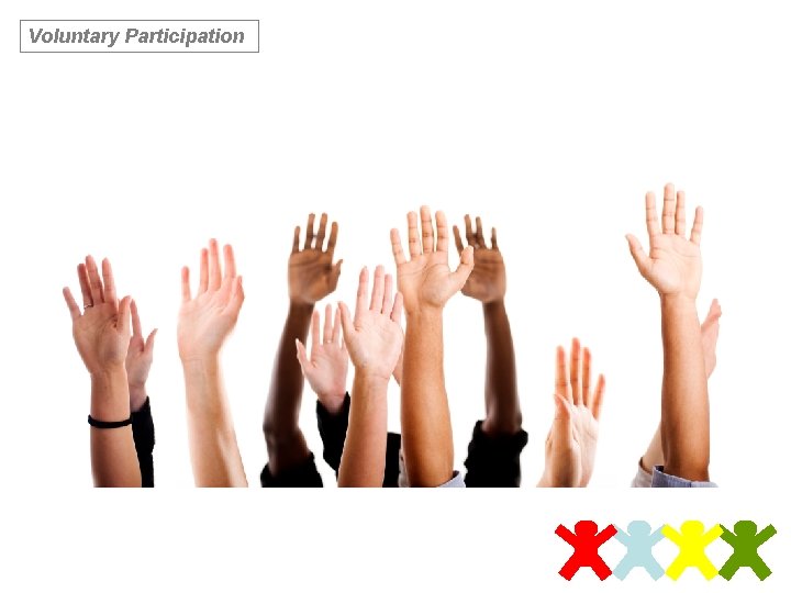 Voluntary Participation 
