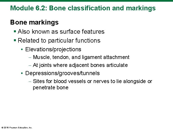 Module 6. 2: Bone classification and markings Bone markings § Also known as surface