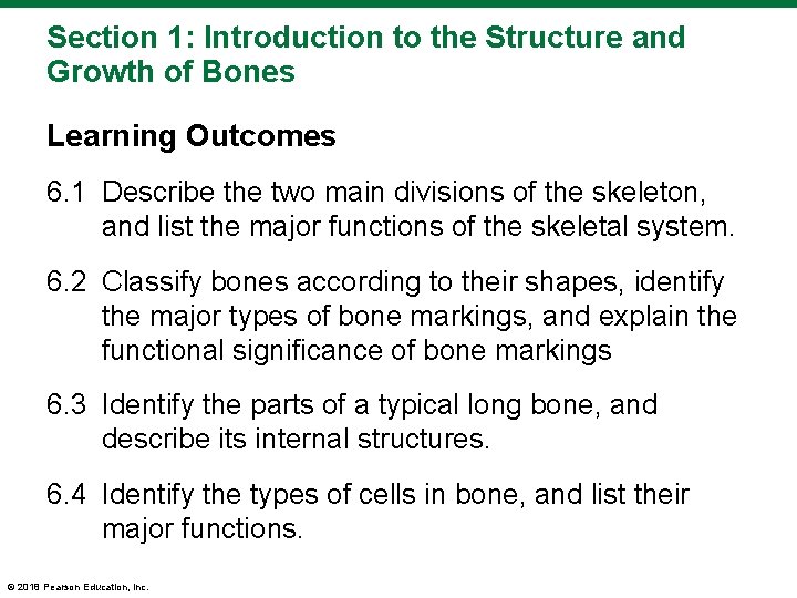 Section 1: Introduction to the Structure and Growth of Bones Learning Outcomes 6. 1