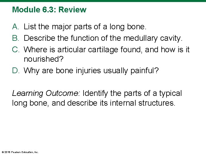 Module 6. 3: Review A. List the major parts of a long bone. B.