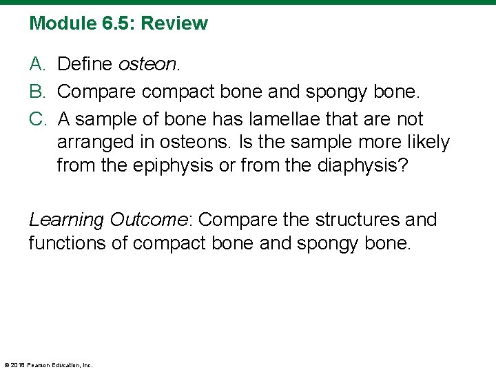 Module 6. 5: Review A. Define osteon. B. Compare compact bone and spongy bone.