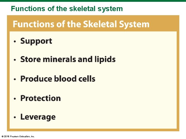 Functions of the skeletal system © 2018 Pearson Education, Inc. 