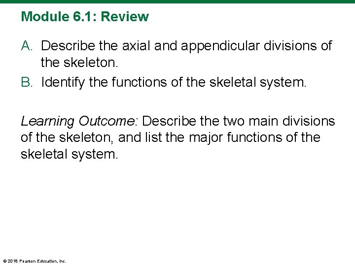 Module 6. 1: Review A. Describe the axial and appendicular divisions of the skeleton.
