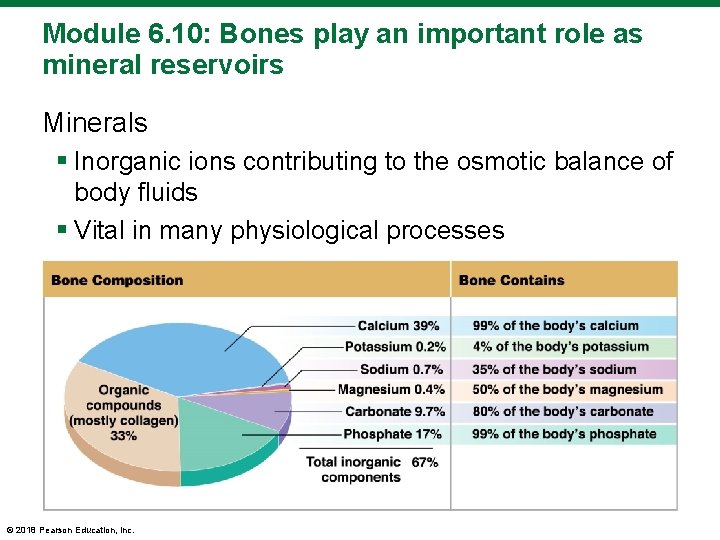 Module 6. 10: Bones play an important role as mineral reservoirs Minerals § Inorganic