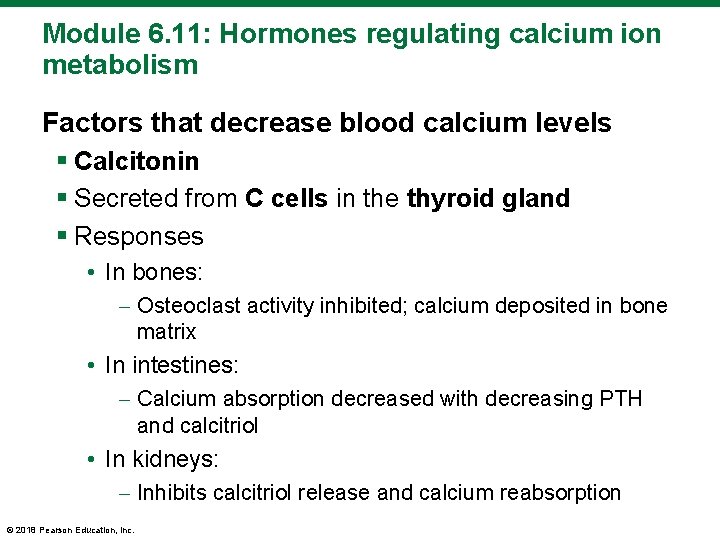 Module 6. 11: Hormones regulating calcium ion metabolism Factors that decrease blood calcium levels