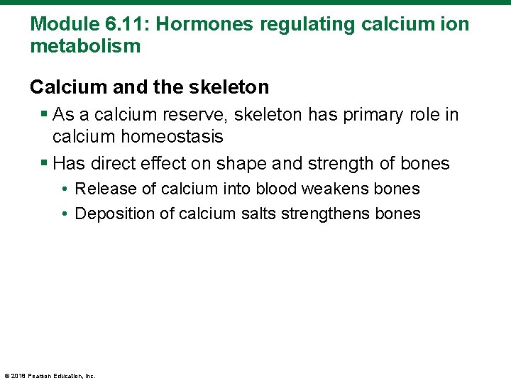 Module 6. 11: Hormones regulating calcium ion metabolism Calcium and the skeleton § As