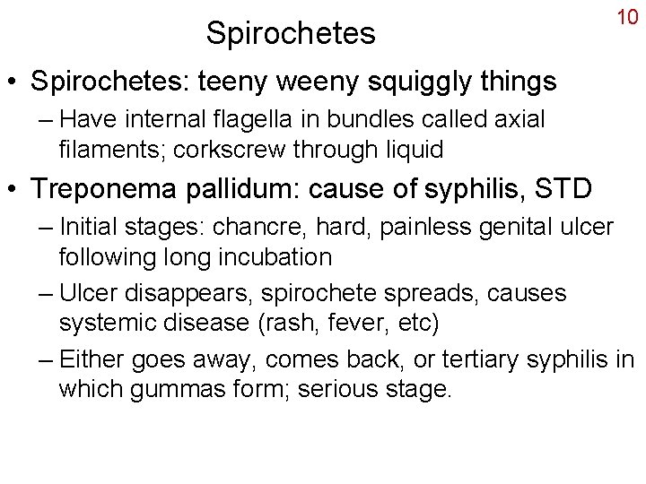 Spirochetes 10 • Spirochetes: teeny weeny squiggly things – Have internal flagella in bundles
