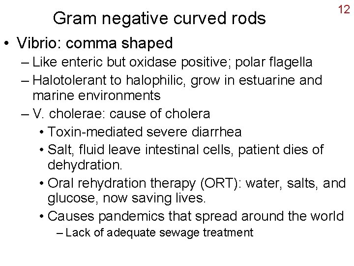 Gram negative curved rods 12 • Vibrio: comma shaped – Like enteric but oxidase