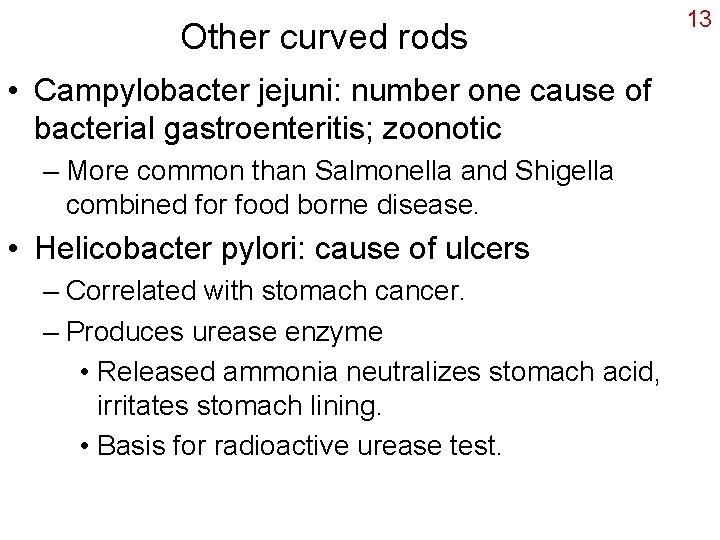Other curved rods • Campylobacter jejuni: number one cause of bacterial gastroenteritis; zoonotic –