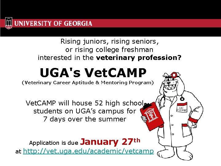 Rising juniors, rising seniors, or rising college freshman interested in the veterinary profession? UGA's