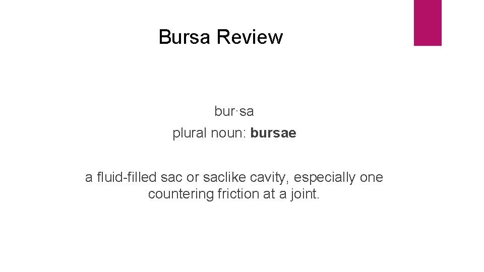 Bursa Review bur·sa plural noun: bursae a fluid-filled sac or saclike cavity, especially one