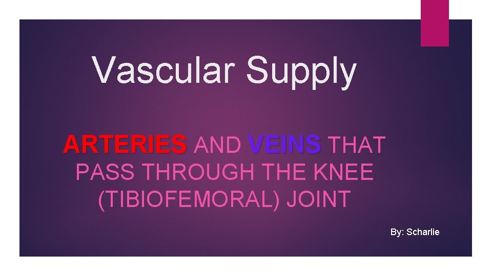 Vascular Supply ARTERIES AND VEINS THAT PASS THROUGH THE KNEE (TIBIOFEMORAL) JOINT By: Scharlie