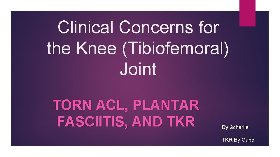 Clinical Concerns for the Knee (Tibiofemoral) Joint TORN ACL, PLANTAR FASCIITIS, AND TKR By
