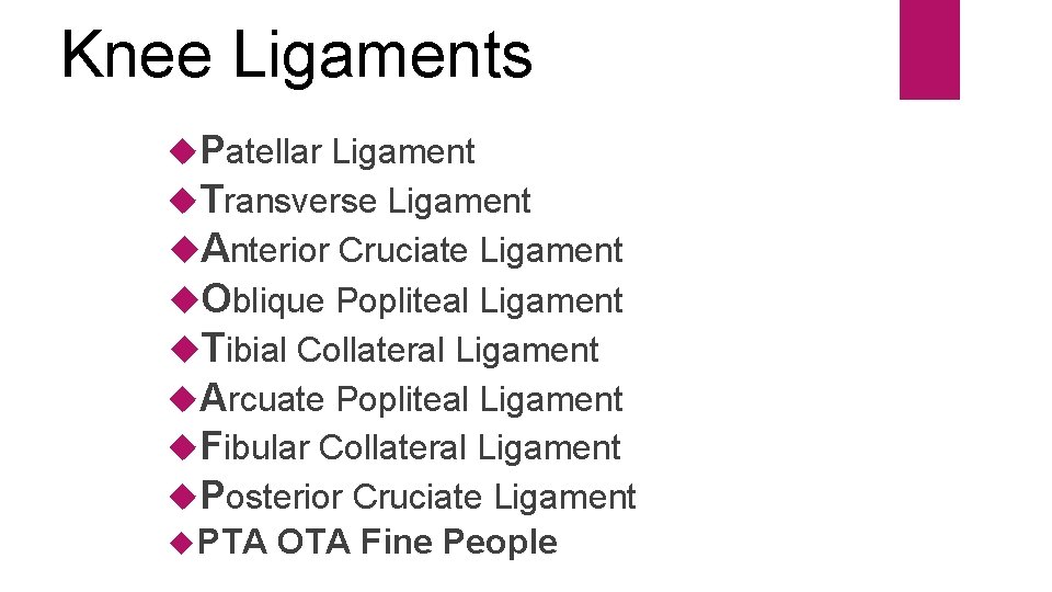 Knee Ligaments Patellar Ligament Transverse Ligament Anterior Cruciate Ligament Oblique Popliteal Ligament Tibial Collateral