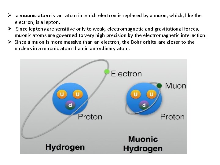 Ø a muonic atom is an atom in which electron is replaced by a