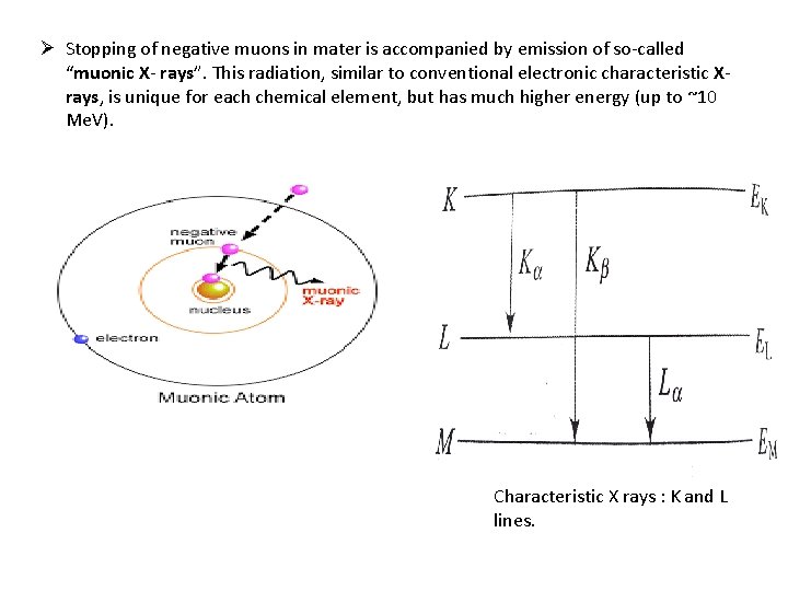 Ø Stopping of negative muons in mater is accompanied by emission of so-called “muonic