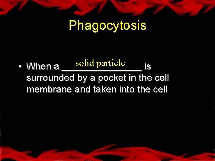 Phagocytosis solid particle • When a ________ is surrounded by a pocket in the