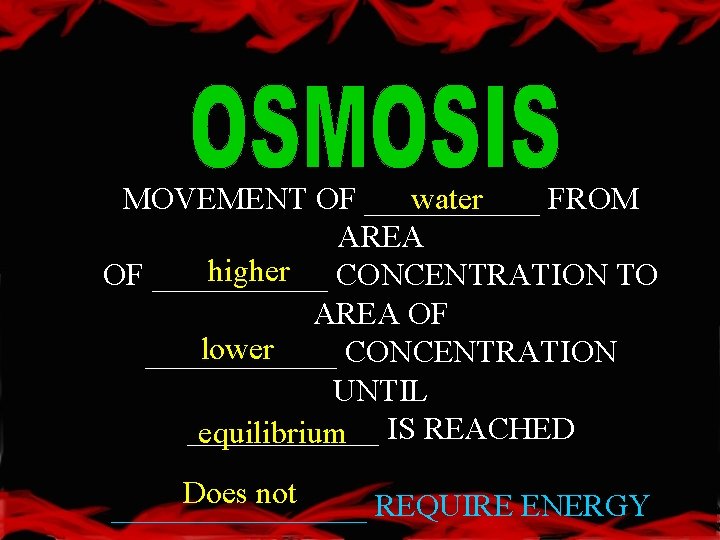 MOVEMENT OF ______ water FROM AREA higher CONCENTRATION TO OF ______ AREA OF lower