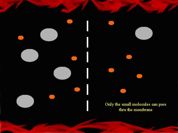 Only the small molecules can pass thru the membrane 