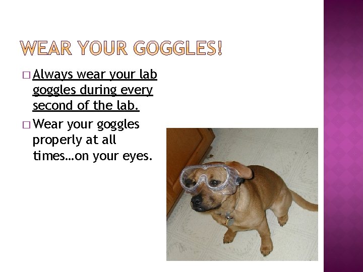 � Always wear your lab goggles during every second of the lab. � Wear