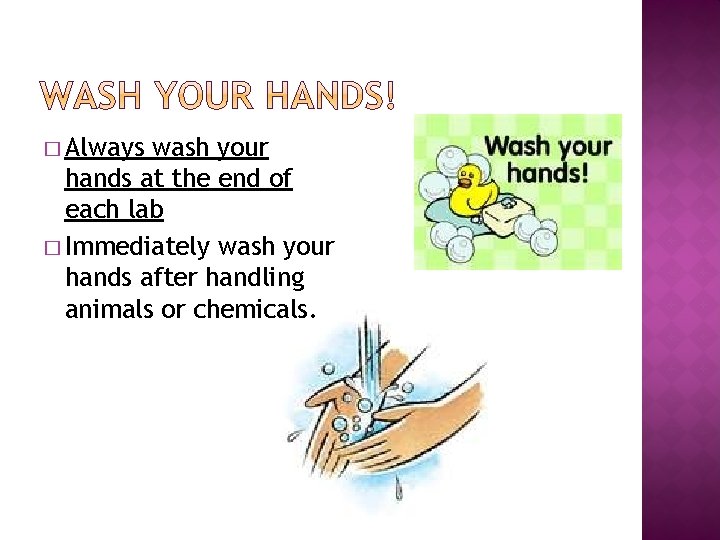 � Always wash your hands at the end of each lab � Immediately wash