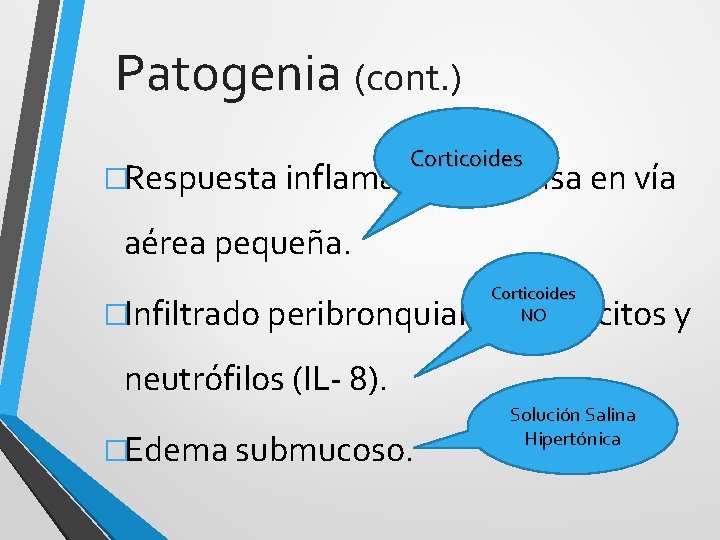 Patogenia (cont. ) Corticoides �Respuesta inflamatoria intensa en vía aérea pequeña. Corticoides NO �Infiltrado