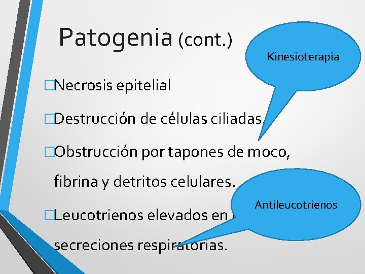 Patogenia (cont. ) Kinesioterapia �Necrosis epitelial �Destrucción de células ciliadas. �Obstrucción por tapones de