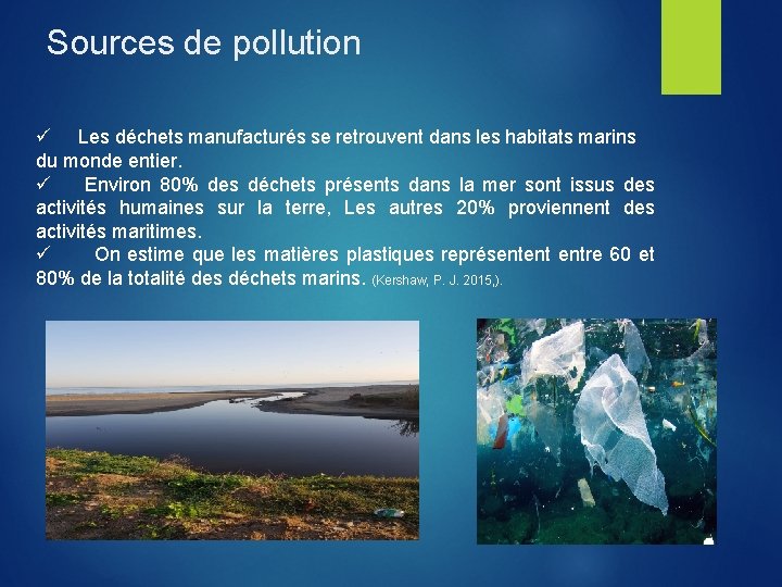 Sources de pollution ü Les déchets manufacturés se retrouvent dans les habitats marins du