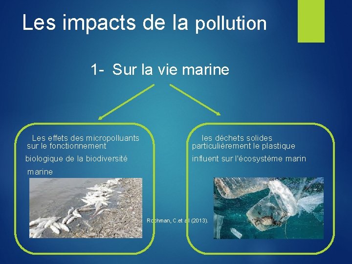 Les impacts de la pollution 1 - Sur la vie marine Les effets des
