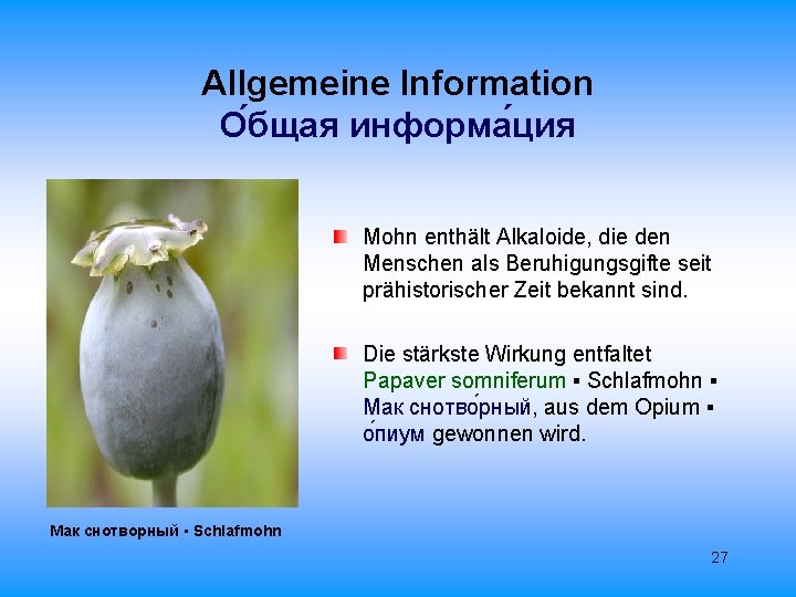 Allgemeine Information О бщая информа ция Mohn enthält Alkaloide, die den Menschen als Beruhigungsgifte